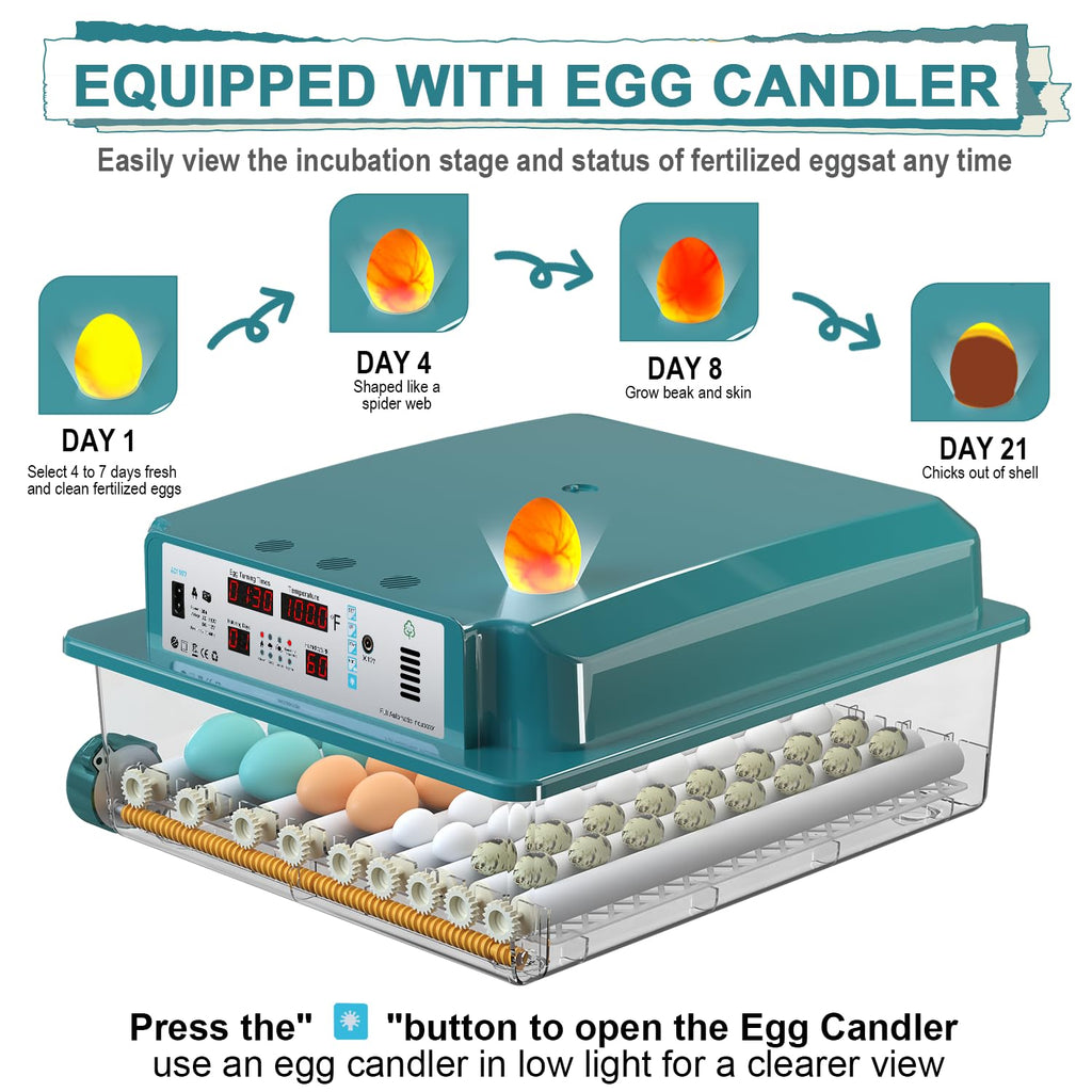 64 egg incubator with day counter, product photo 9