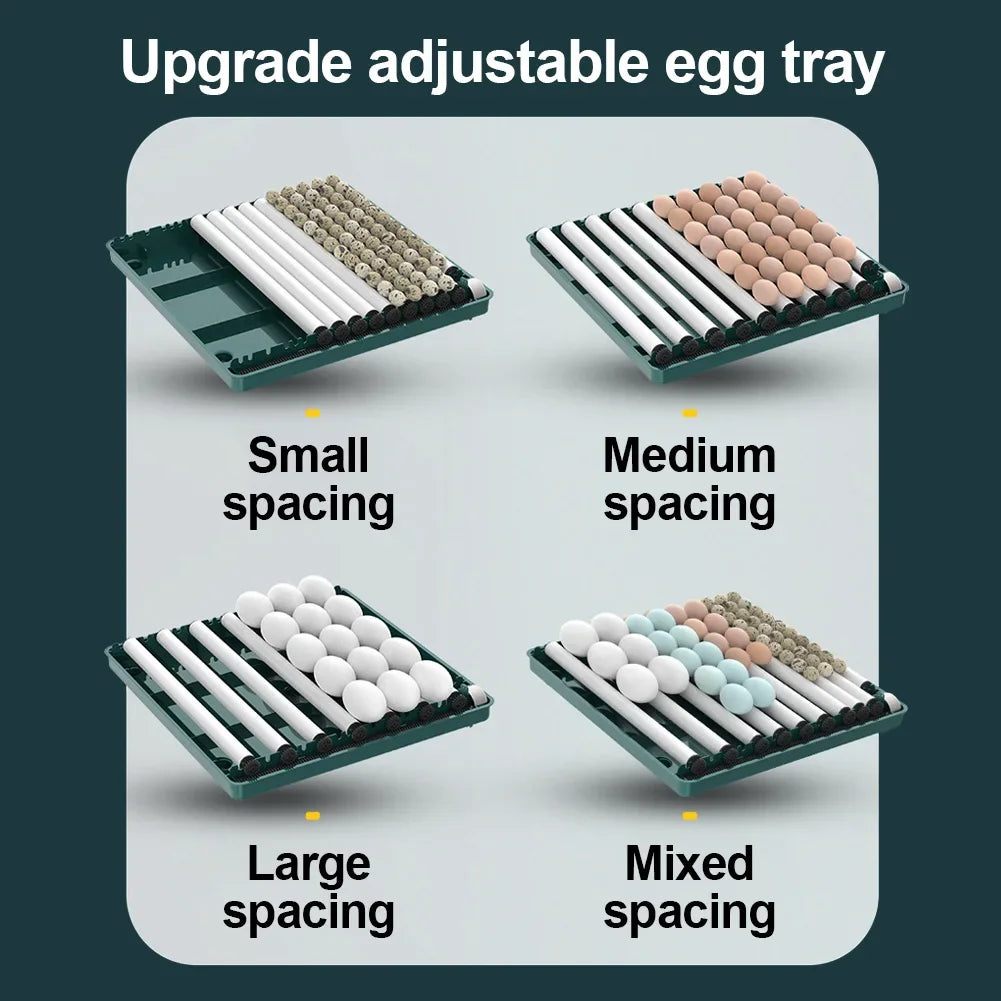 6 and 12 egg incubator for chicken and quail eggs, product photo 5
